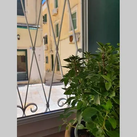 Apartment Elia Luxury Suite, Corfu Town Corfu (city)